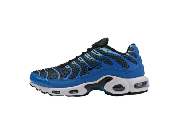 נעלי נייק-NIKE AIR MAX PLUS TN-BLUE-BLACK LOGO